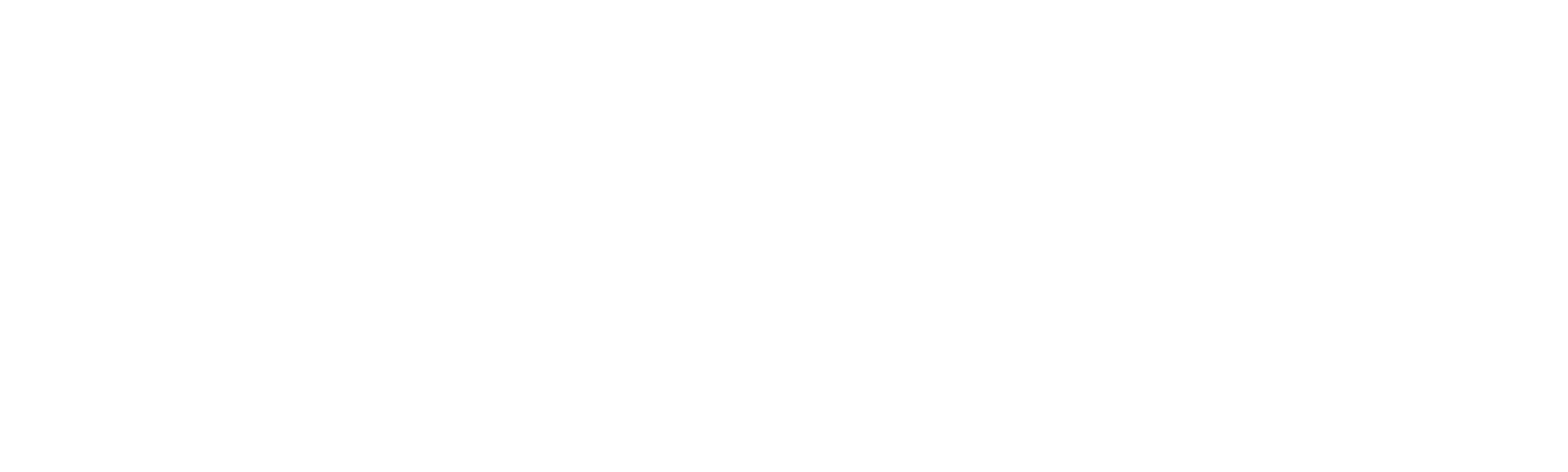 Last Chance Garage logo